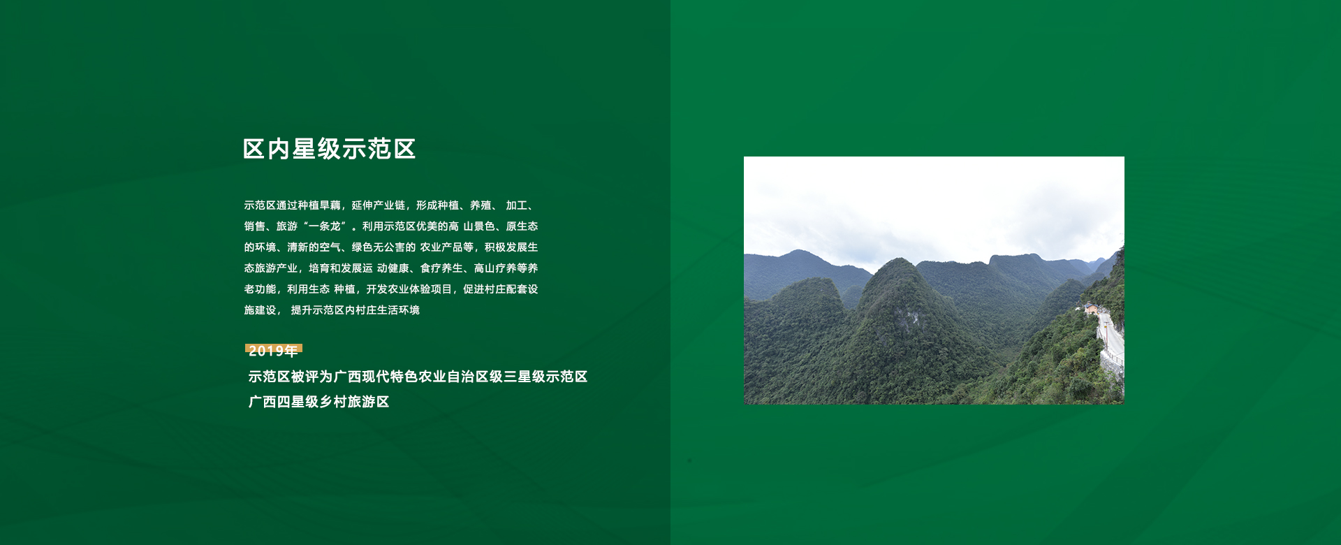 pic13.jpg